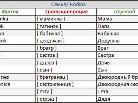 Профессиональный онлайн перевод с чешского на русский