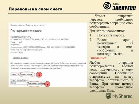 Профессиональные платные услуги перевода - получайте точные и надежные переводы