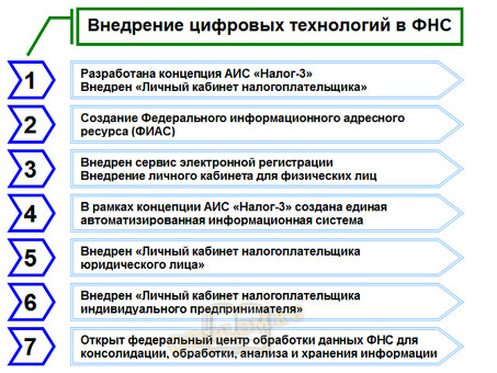 Роль ФНС в банкротстве физических лиц и ИП: подробности и механизмы