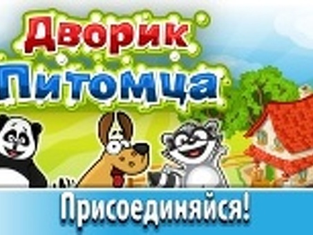 Pet Haven: идеальный двор для ваших пушистых питомцев