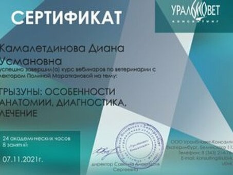 Диана Камарудинова Москва | Профессиональные услуги в Москве