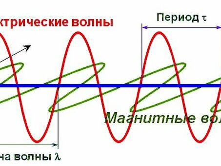 Профессиональные услуги перевода | Широкий спектр переводов