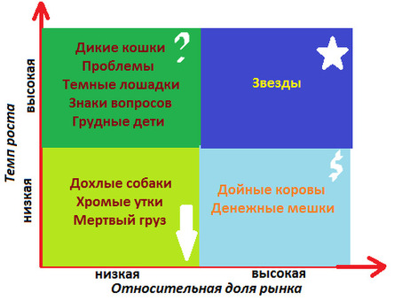 Примеры применения матричной БКГ в компаниях