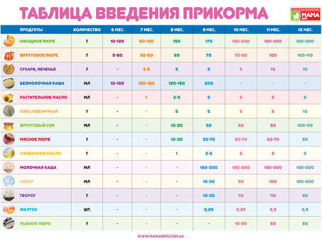 Стоимость 6-месячного теленка: актуальная цена