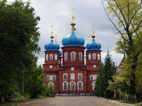 Скупка меда в Петровске Саратовской области | Лучшие условия и выгодные цены!