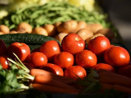 Купить овощи оптом от совхоза Береговой в Кемерово по выгодным ценам