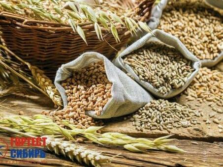Совэконом: актуальные новости и цены на зерно