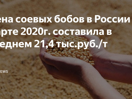 Купить соевые бобы в Екатеринбурге: широкий ассортимент и выгодные цены | Магазин "Соевая нива"