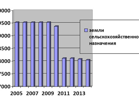 Стоимость земель сельскохозяйственного назначения: актуальные цены в России