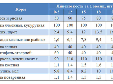 Стоимость несушек: выгодные предложения и цены от производителя