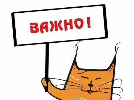 Ищете работу? Найдите здесь лучшие вакансии!