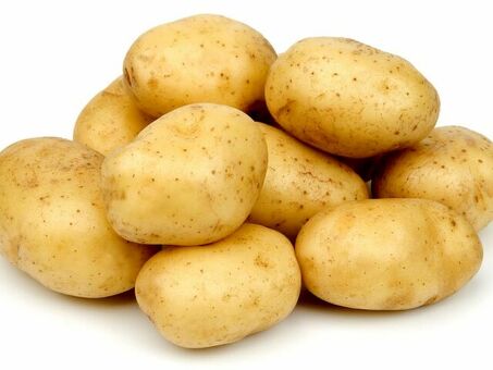 Картошка воронежская – вкусная и качественная воронежская продукция