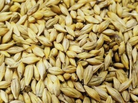 Купить зерно или лом на Авито – выгодные предложения от проверенных продавцов.