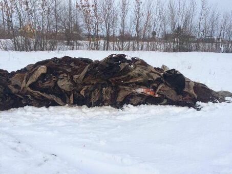 Купить коровью кожу по выгодным ценам в Белорецке.