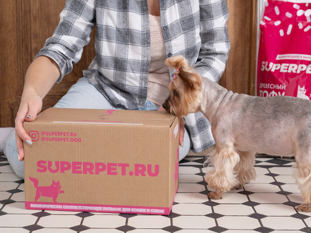 Superpet for Dogs: услуги по уходу за домашними животными премиум-класса