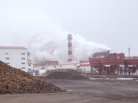 Успенский сахарный завод: качественный сахар от производителя в Краснодарском крае