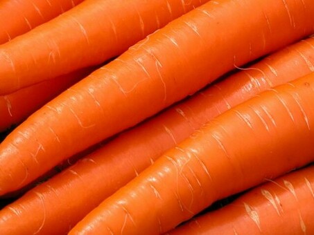 Купить морковь по выгодной цене за 1 кг