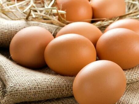 Купить яйца по выгодной цене - магазин 