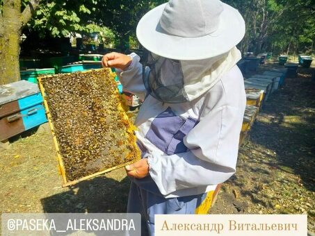 Продаю пчелиный яд сырец(Апитоксин)