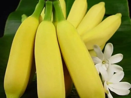 Купить бананы по выгодной цене за 1 кг - интернет-магазин