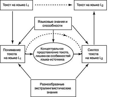 Услуги по переводу знаний - точно и надежно |XYZ Company