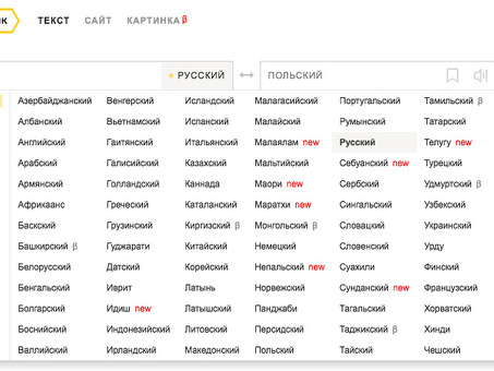 Профессиональные переводчики всех языков на русский