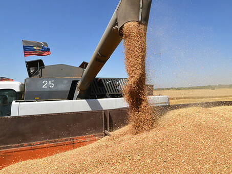 Зерновое производство: Как выращивать и собирать зерновые культуры