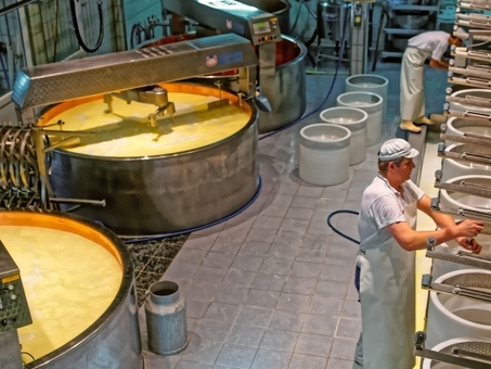 Российское сырное производство: качественная продукция от лучших производителей
