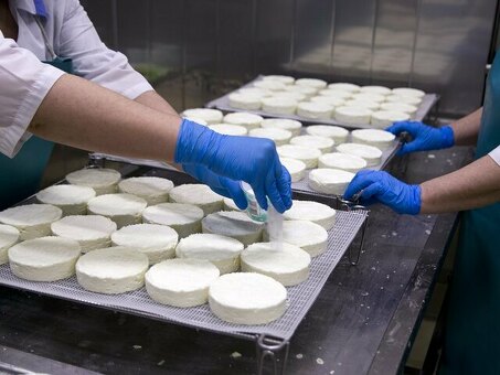 Производство сыра: технология, рецептура, оборудование | Название компании