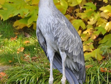 Профессиональный перевод на английский язык - Crane Translation