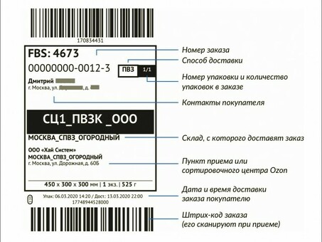 Шаблон Ozone - настраиваемый и профессиональный