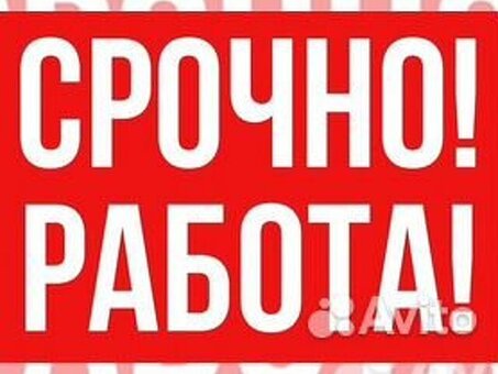 Новые вакансии для работы на Avito