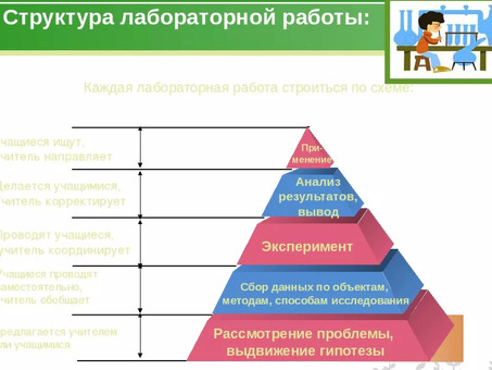 Полная лабораторная работа по программированию - качественное и своевременное обслуживание | Профессиональные авторы