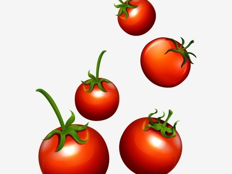 Высококачественный векторный сервис Tomato PNG | Получить векторную иллюстрацию Tomato