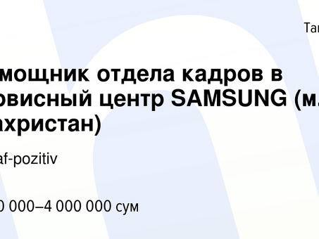 Работа HR-ассистента начального уровня: опыт работы не требуется!