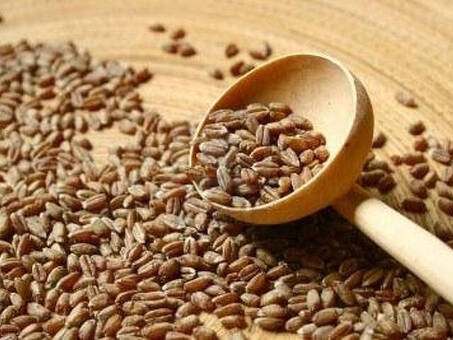Купить вертикальные зерна — высококачественные зерна | Магазин здоровой пищи