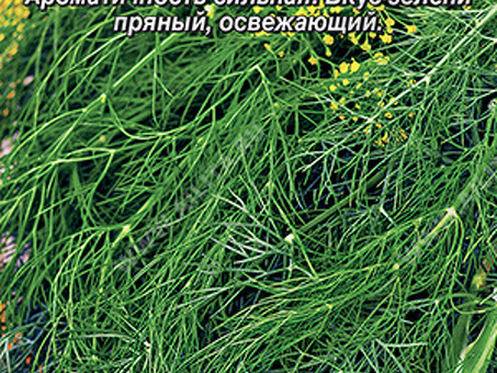 Купить укроп оптом по выгодной цене | Магазин электроники.