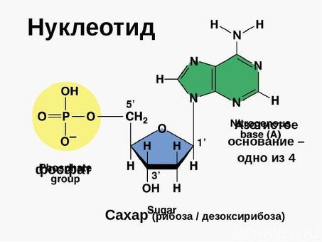 химический сахар. Виды, характеристики, использование