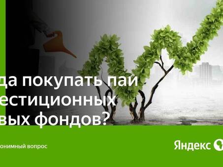 Кто покупает земельные участки и почему они популярны?