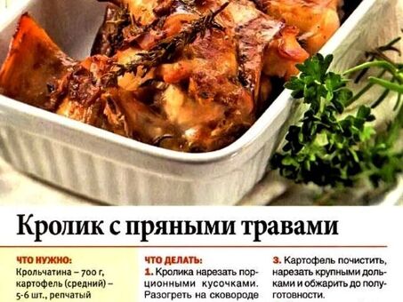 Где можно продать мясо кролика: скупщики, рынки, рестораны