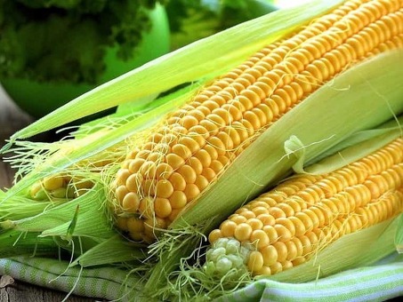 Кукуруза Бребан из Краснодара - Всегда свежая и сочная кукуруза по низким ценам | Овощно-фруктовый магазин "Овощи и фрукты"