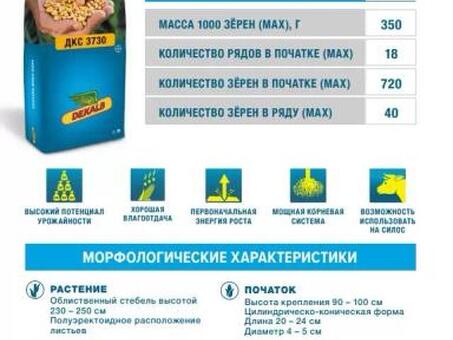 Кукуруза ДКС 3730 – Качественный семенной материал от надежного производителя.