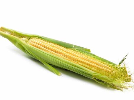 Купите 1 тонну кукурузы по выгодной цене｜Магазин «Магазин Имя»