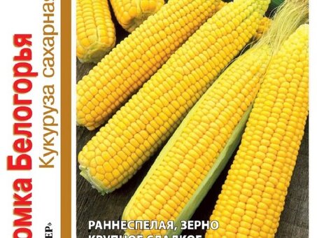 Купить семена кукурузы Росс 1 в Воронеже Лучшая цена