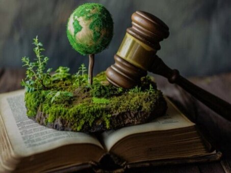 Услуги юриста и адвоката по экологическому праву в Перми