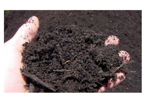 Чернозем плодородный почва черного цвета,грунт