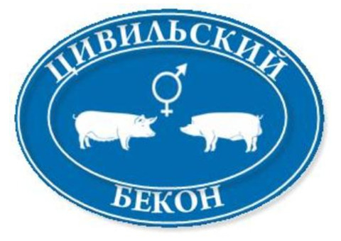 Продаем свиней живым весом. 2000 гол. в неделю