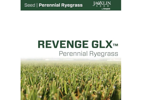 Райграс пастбищный Revenge GLX (22,68 кг)