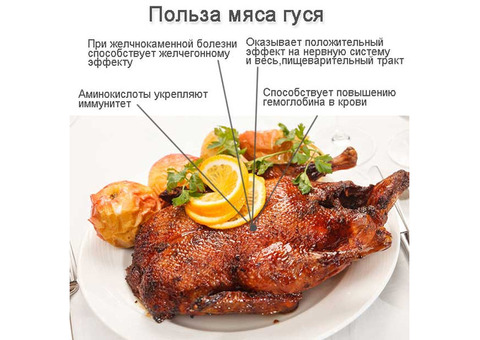 Мясо гуся - гусиные тушки парные