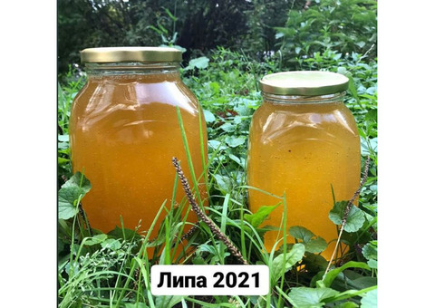 Мед липовый доставка 2021 года